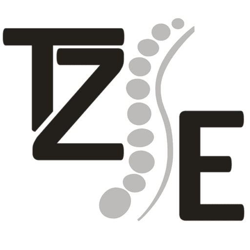 cropped-cropped-cropped-TZE-Logo